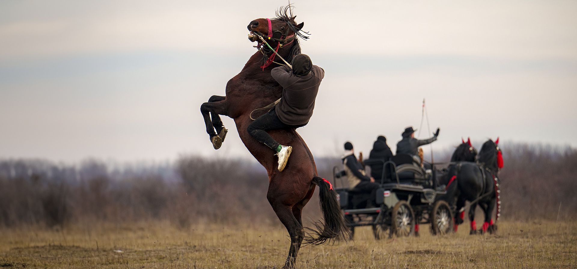 Un hombre lucha por no caerse de un caballo antes de competir en una carrera de caballos tradicional durante las celebraciones de la Epifanía en el pueblo de Pietrosani, Rumania, el lunes 6 de enero de 2025. (Foto AP/Vadim Ghirda) Un hombre lucha por no caerse de un caballo antes de competir en una carrera de caballos tradicional durante las celebraciones de la Epifanía en el pueblo de Pietrosani, Rumania, el lunes 6 de enero de 2025. (Foto AP/Vadim Ghirda)