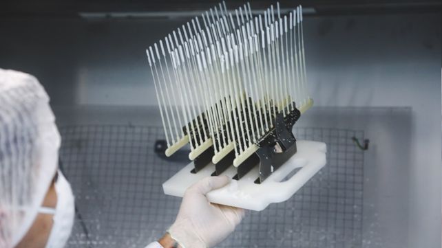 Terragene. La biotecnológica rosarina produce hisopos nasofaríngeos.