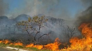 Un incendio arrasa un parque nacional en Brasil