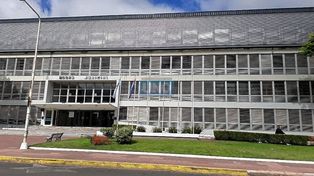 Probation por ofrecer servicio de psicología sin el título