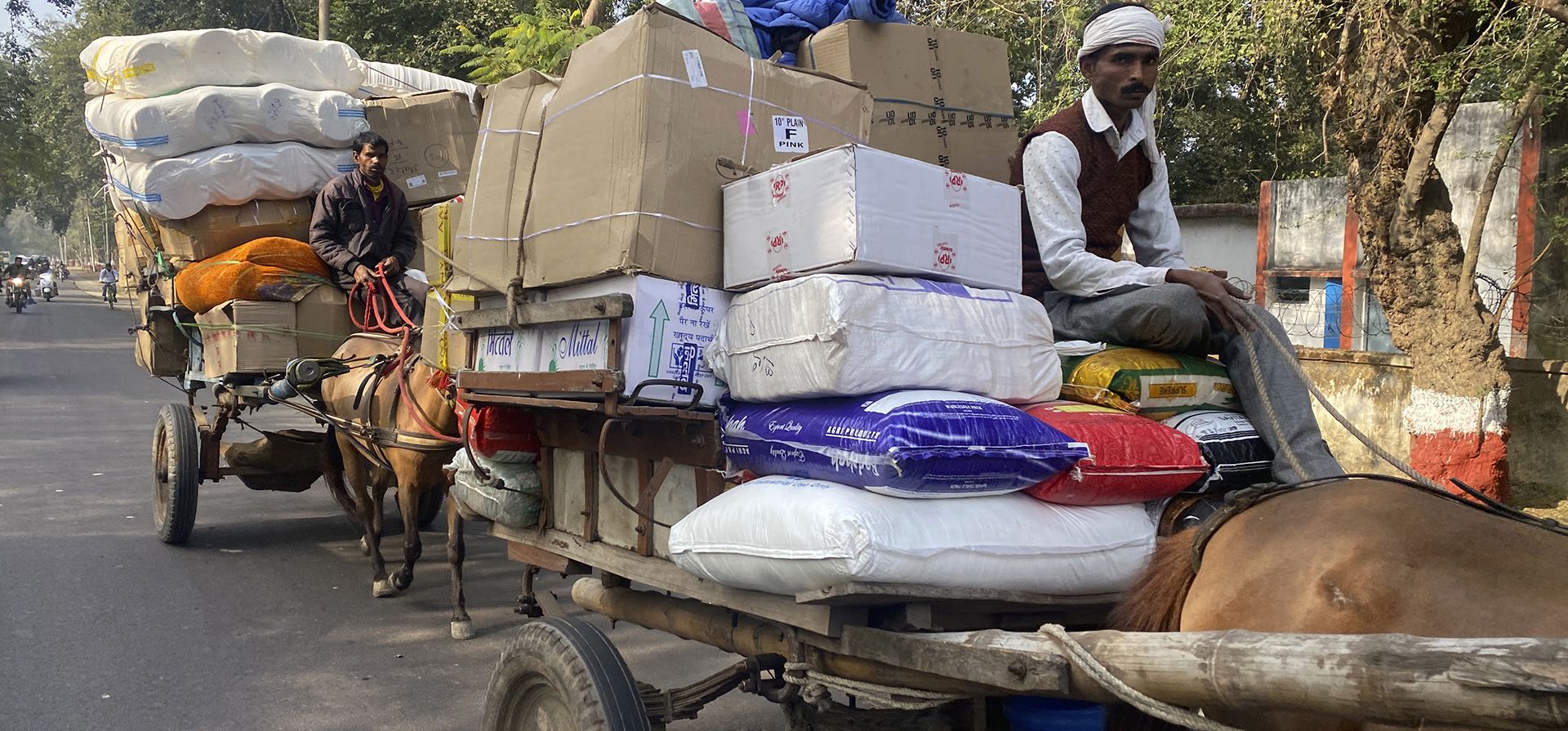 Las tongas o carros tirados por caballos se utilizan para transportar grandes cantidades de mercancías en Lucknow, India. Viernes, 27 de enero de 2023. (Foto AP/Rajesh Kumar Singh)