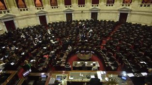 Diputados aprobó la quita de la patria potestad a los femicidas Cámara de Diputados