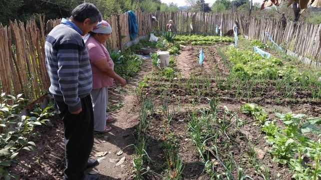 La agricultura familiar es una posibilidad de aumentar la productividad