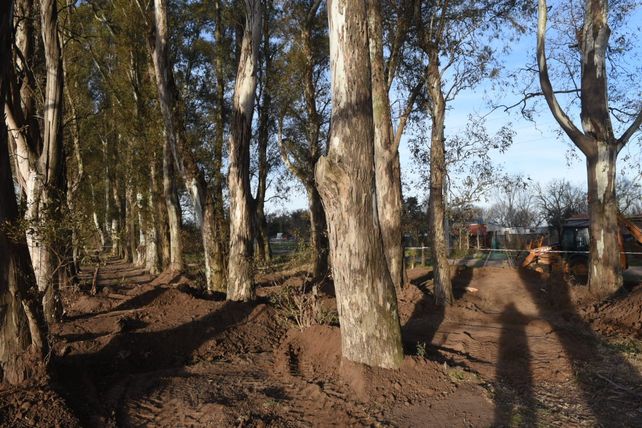 En este predio cercano a Luis Palacios el equipo de Antropología Forense está buscando los restos de Paula Perassi.&nbsp;
