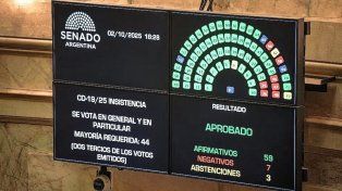 El Senado rechazó los vetos presidenciales en Garrahan y universidades.