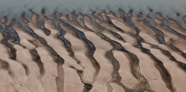 Un hombre en un bote frente a los bancos de arena en el río Solimões, uno de los mayores afluentes del Amazonas, durante un sobrevuelo de Greenpeace para inspeccionar lo que el Centro Nacional de Monitoreo y Alerta Temprana de Desastres Naturales de Brasil (Cemaden) dice que es la sequía más intensa y generalizada que Brasil ha experimentado desde que comenzaron los registros en 1950, Tefé, Brasil. Fotografía: Jorge Silva/Reuters