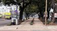 Aristóbulo del Valle inaugurará su renovado cantero central con nueva iluminación, mobiliario y veredas accesibles
