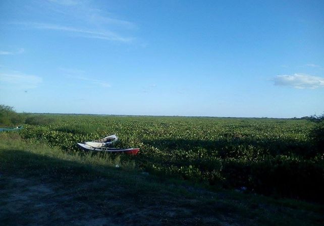 La situación de la crecida del río en Helvecia