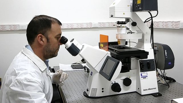 Investigación nacional: en Santa Fe buscan animales para testear por coronavirus