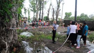 19 de febrero de 2016. El árbol caído en bulevar Seguí al 5300, que causó la muerte de un hombre.&nbsp; 