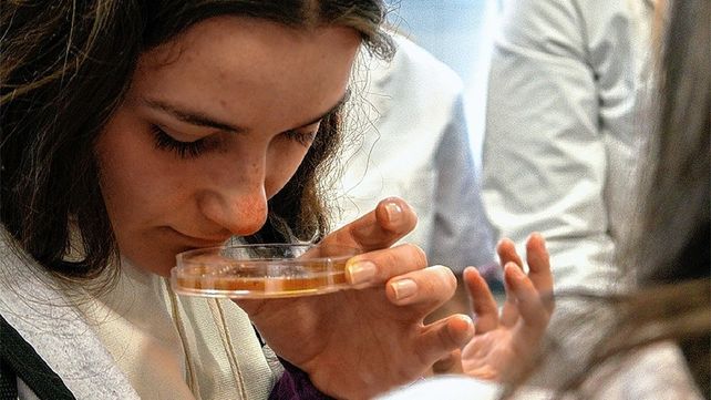 La Feria Viví la UNER se despide en Concordia