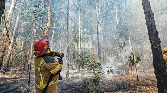 Brigadistas santafesinos lograron controlar el voraz incendio en Capitán Bermúdez