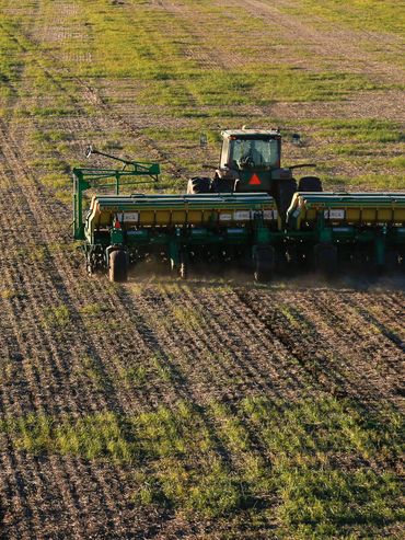 Se completó la siembra de trigo en el centro norte de Santa Fe: se llegaron a 462.500 hectáreas