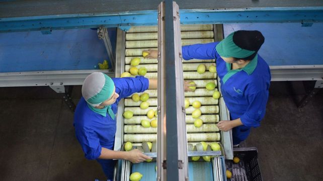 Dentro de los principales productos comercializados se encuentra el limón fresco con 140 millones de dólares.