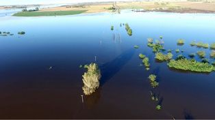 Más de mil evacuados en Salto