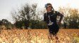 Libertador San Martín apuesta al trail running