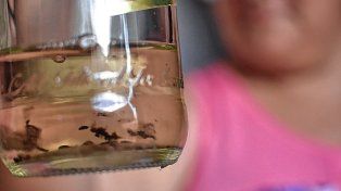 Recomendaciones descacharrado en el hogar para prevenir el dengue