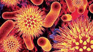 Descubren c&oacute;mo desarmar el virus del sida y ahora van por la vacuna