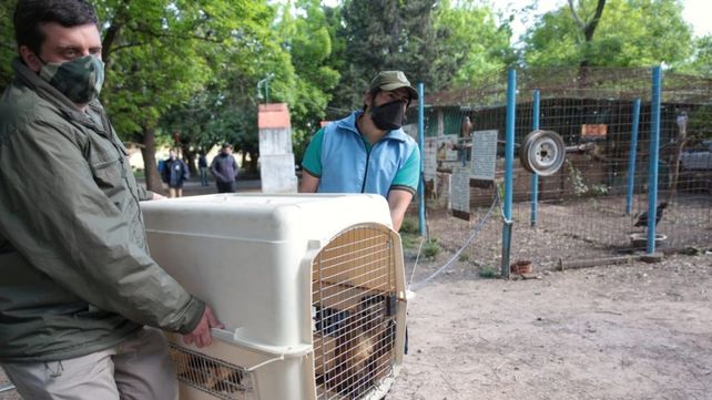 Cierra el centro de vida silvestre de Paraná después de 28 años.
