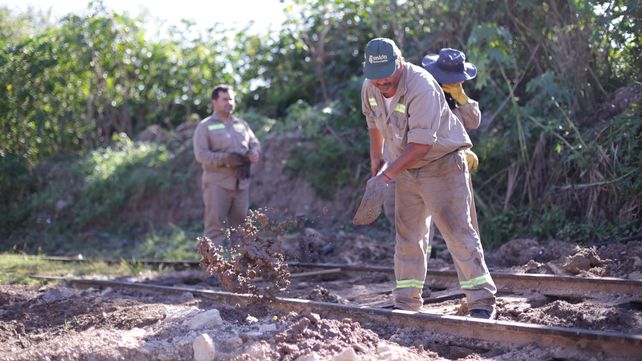 Para que el tren llegue a La Picada se debe suspender el servicio una semana