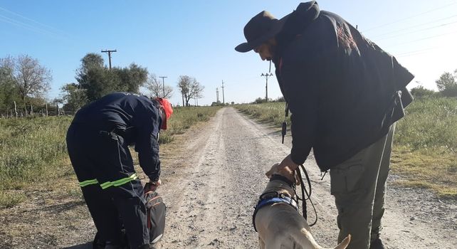 Rastrillan campos de General Racedo y aledaños en búsqueda de María Victoria Loza