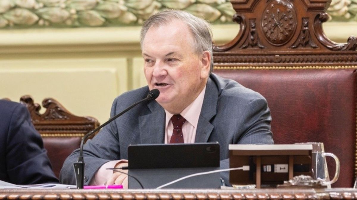 Furia de Michlig en el Senado ante las ausencias de legisladores oficialistas: "Dos veces al mes sesionamos"