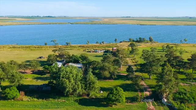 La laguna El Hinojo abarca 489 hectáreas de extensión, de las cuales 220 conforman un espejo de agua permanente además de ser el más importante de Venado Tuerto.