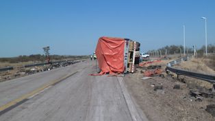 Choque en Recreo: un camionero atropelló un novillo suelto