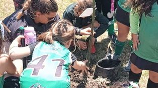 Árbol. Cada equipo vivió la experiencia de plantar una especie arbórea.
