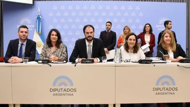Debate de la Ley de Bases en el plenario de comisiones.