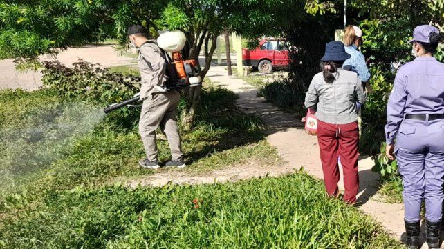 En la provincia de Formosa murieron cinco personas por dengue. El total acumulado de casos asciende a 9.392 y los serotipos circulantes son DEN 1 y DEN 2