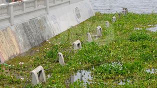 Clausuran la zona baja de costanera oeste y las playas