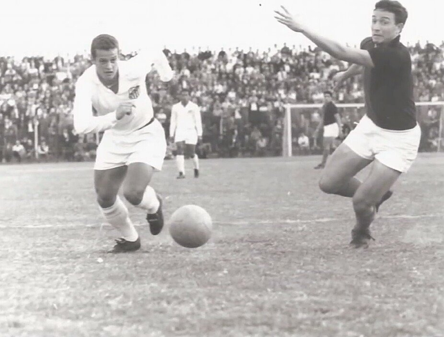 Se cumplen 56 años del nacimiento del Cementerio de los Elefantes