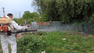 Dengue: en Rosario ya son 1.741 casos y las zonas oeste y noroeste las más afectadas