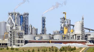 Uruguay aprobó la instalación de otra planta de celulosa