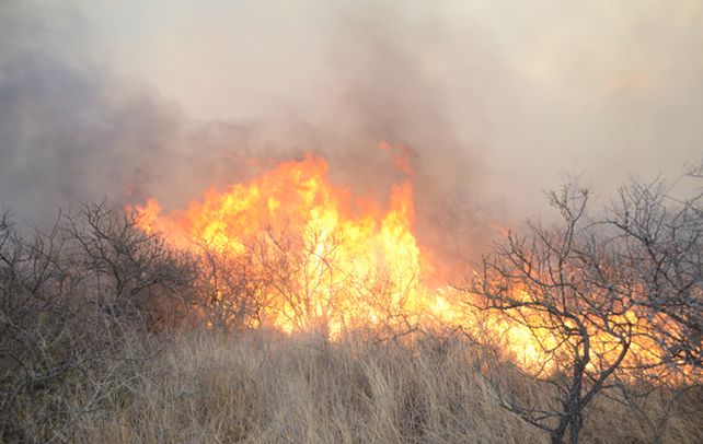 Infierno en las sierras. Autoridades y bomberos coinciden en que es el peor incendio forestal que recuerden.