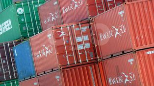 Los exportadores buscan la rentabilidad