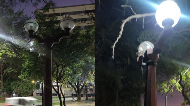 Maratón de robos y vandalizaciones en varias plazas de la ciudad