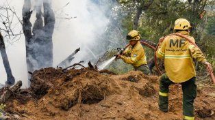 El Servicio Nacional de Manejo del Fuego (SNMF) reportó que tres departamentos de Entre Ríos reportaron incendios activos. Se tratan de Gualeguay, Federación y Victoria.&nbsp;
