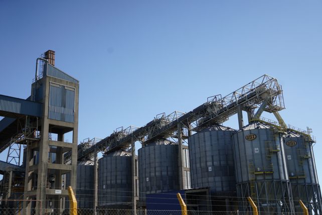 El procesamiento de soja impulsó la producción industrial de Santa Fe