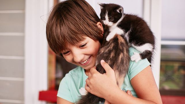 Día del Animal: La fecha tiene que ver con el fallecimiento