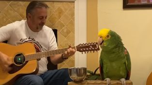 Un loro rockero que canta con acompañamiento de guitarra arrasa en YouTube