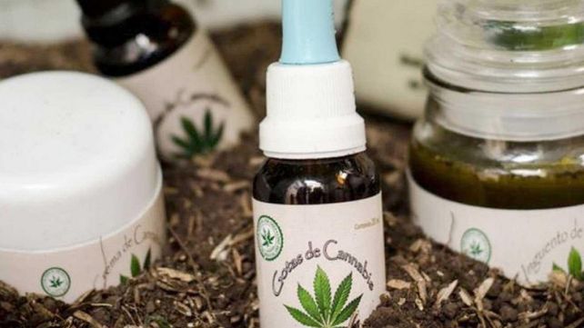 Son numerosos los cultivadores de cannabis medicinal con fines terapéuticos en Rosario.