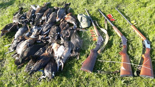 Arroyo Leyes: secuestraron 347 patos crestones depredados