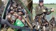 Caza furtiva en la Setúbal y escándalo ambiental: denunciaron la matanza de aves protegidas frente a la Costanera santafesina