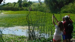 Media sanción a la ampliación del Parque Nacional Pre Delta