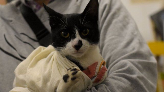 La Municipalidad de Santa Fe brindará servicios a los vecinos en la Vecinal Del Tránsito