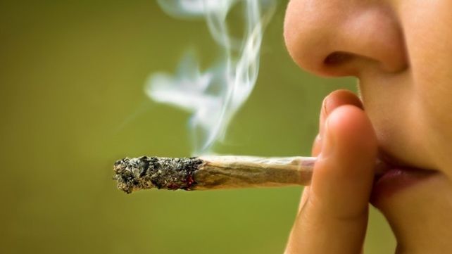 Fumar mariguana no cura ninguna enfermedad – Universo – Sistema de
