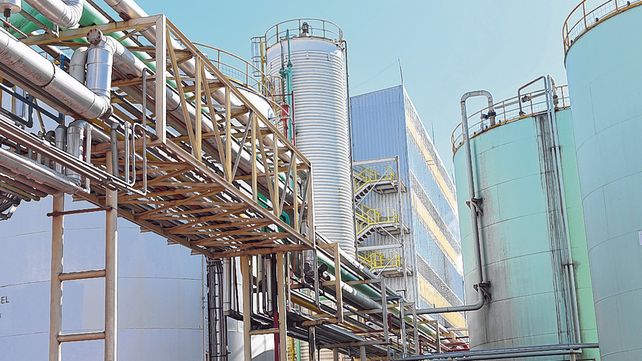 cambios. La suba de retenciones y la desaparición del diferencial arancelario impactaron en la industria oleaginosa nacional.