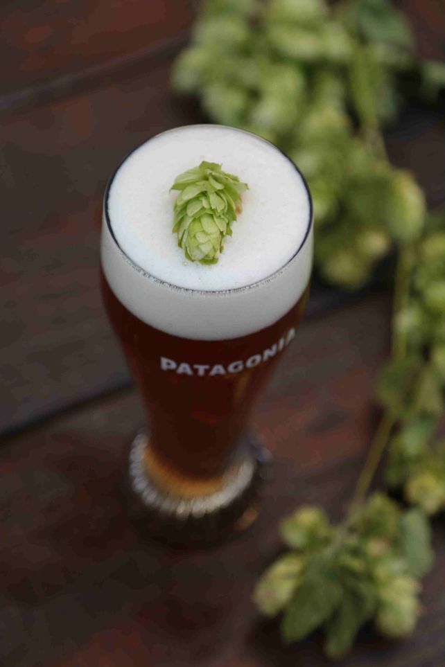 Fernández IPA, la cerveza wet hop IPA que se hace en otoño